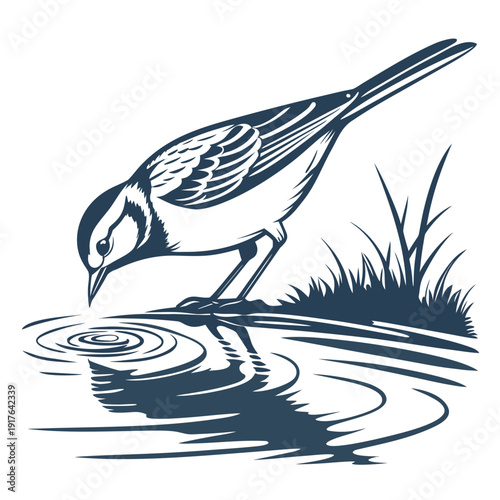 Bird drinking from water with ripples and grass small bird
