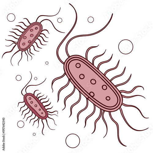 Bacteria with flagella and capsules microorganisms