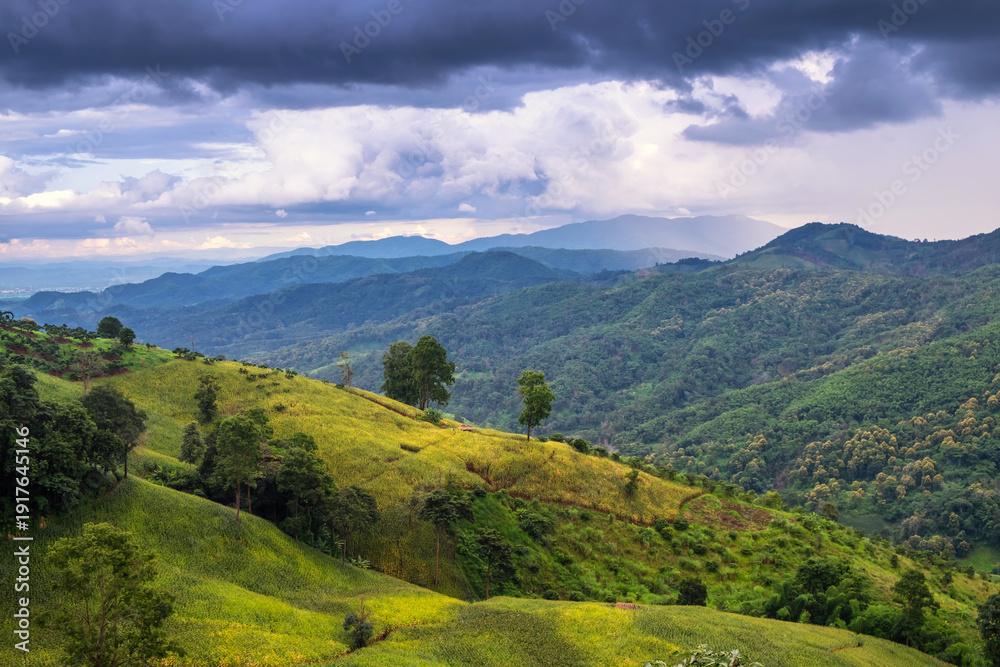 Obraz premium mountain landscape with green grass