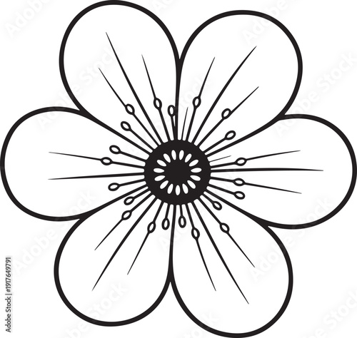 Elegant black and white flower illustration with delicate petals
