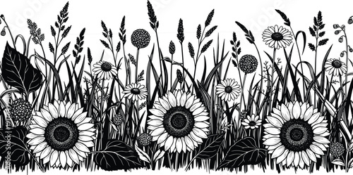 Black and white vector silhouette of a wild flower meadow featuring sunflowers daisies and field grass for botanical branding garden nature and summer design