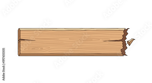 Broken Wooden Plank Closeup.