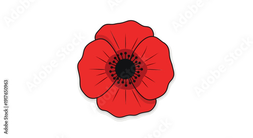 Red Poppy Flower Closeup.