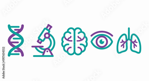 Medical Science and Human Organs Icons, Laboratory and Anatomy Symbols
