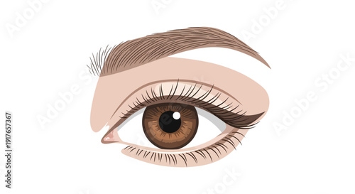 Brown Eye with Makeup.