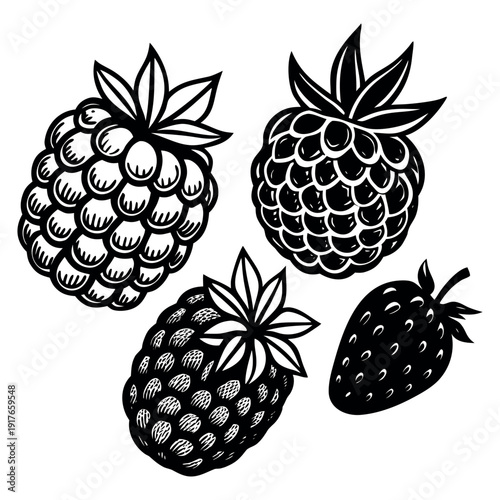 Black and White Illustration of Four Berries Strawberries and Raspberries with Leaves and Detailed Texture on white background