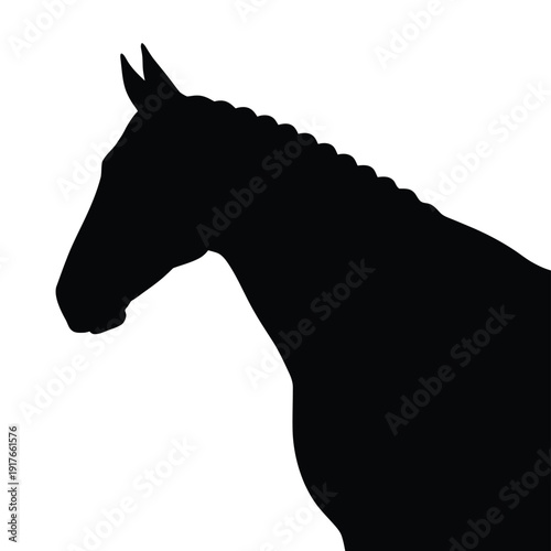 A striking black silhouette of a horse s head and neck against white