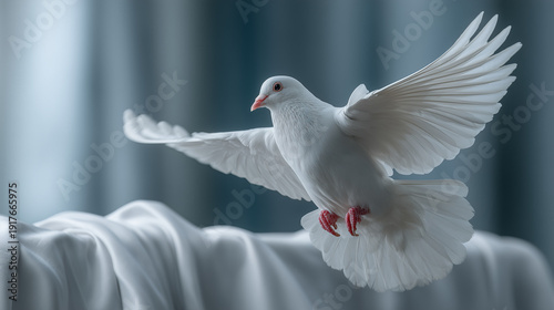 Dove in Flight: A pristine ...