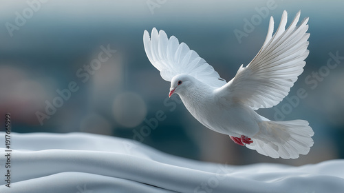 Dove of Serenity: A pristin...