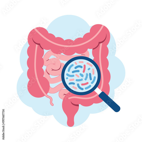 Illustration of human intestines with a magnifying glass examining gut bacteria