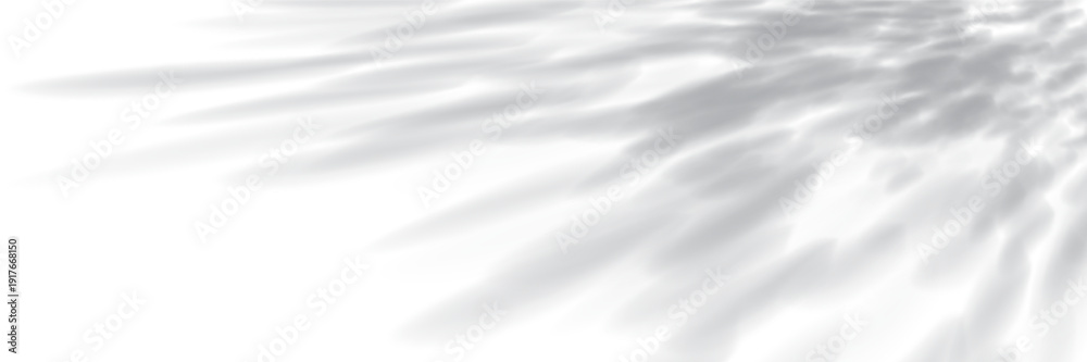 Fototapeta premium Shadows of tree leaves from the corner bg. Overlay light texture. Gobo effect. Sunlight on the wall or floor. Blurred foliage shade texture. Vector illustration