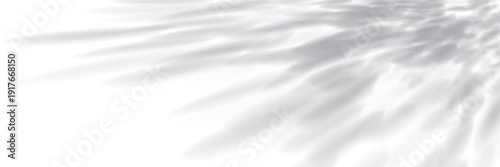 Shadows of tree leaves from the corner bg. Overlay light texture. Gobo effect. Sunlight on the wall or floor. Blurred foliage shade texture. Vector illustration