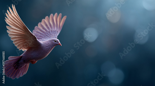 🕊️ Soaring Dove: A delicate...