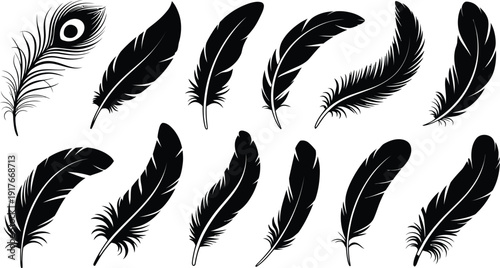 A collection of black feather silhouettes on a white background