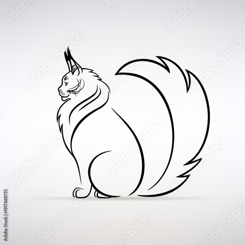 Maine Coon Cat with a Raised Tail