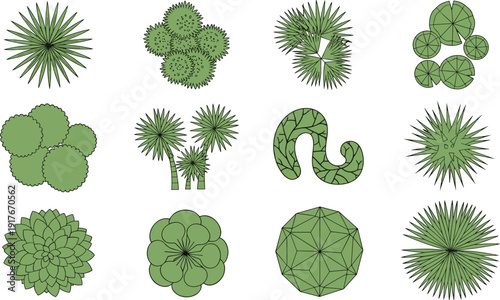 Set of green plant and tropical palm tree silhouettes in top view perspective featuring various geometric foliage shapes isolated on white background for landscape desig