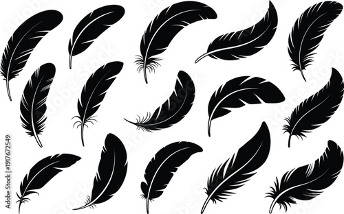 A collection of black feathers on a white background