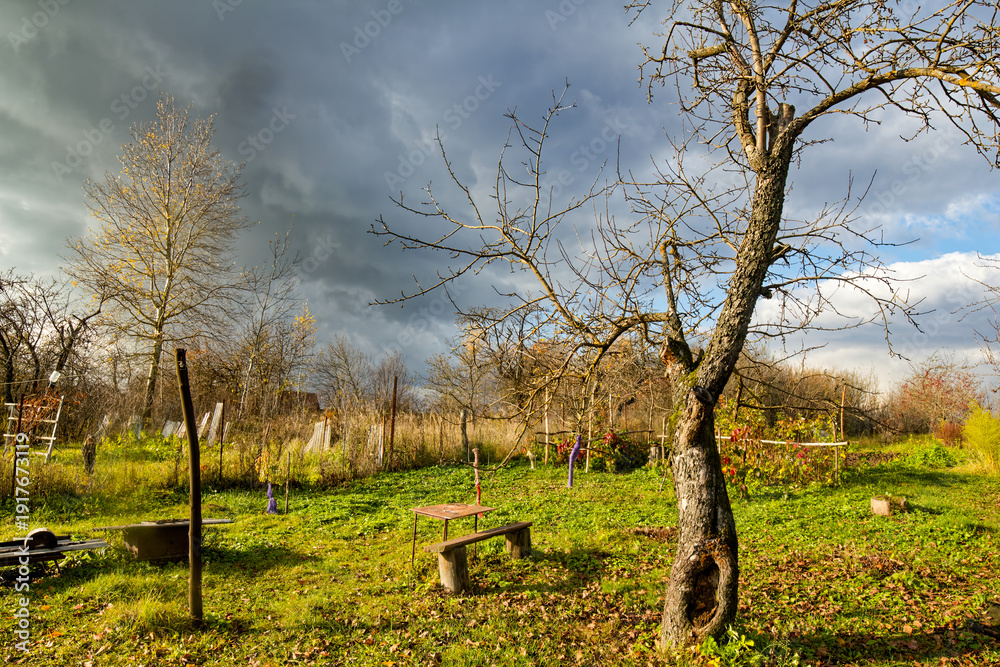 Obraz premium Old garden in the village in late autumn