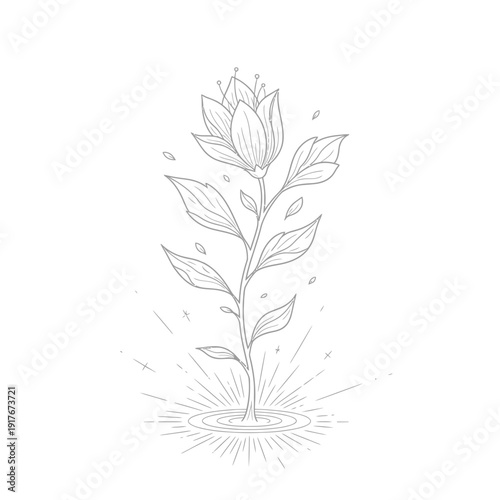 Detailed drawing of a single flower.
