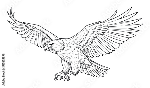 Powerful majestic eagle in midflight with widespread wings and extended talons, captured in a dynamic monochrome line drawing perfect for wildlife projects, educational materials, or