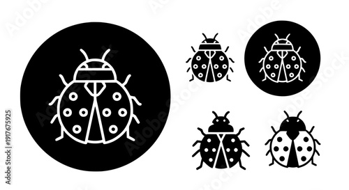 Collection of various stylized ladybug insect icons featuring distinct line art outlines and solid silhouette designs suitable for nature related digital graphics and applications