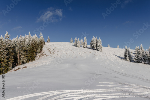 Snowy hillside with evergreen trees under blue sky