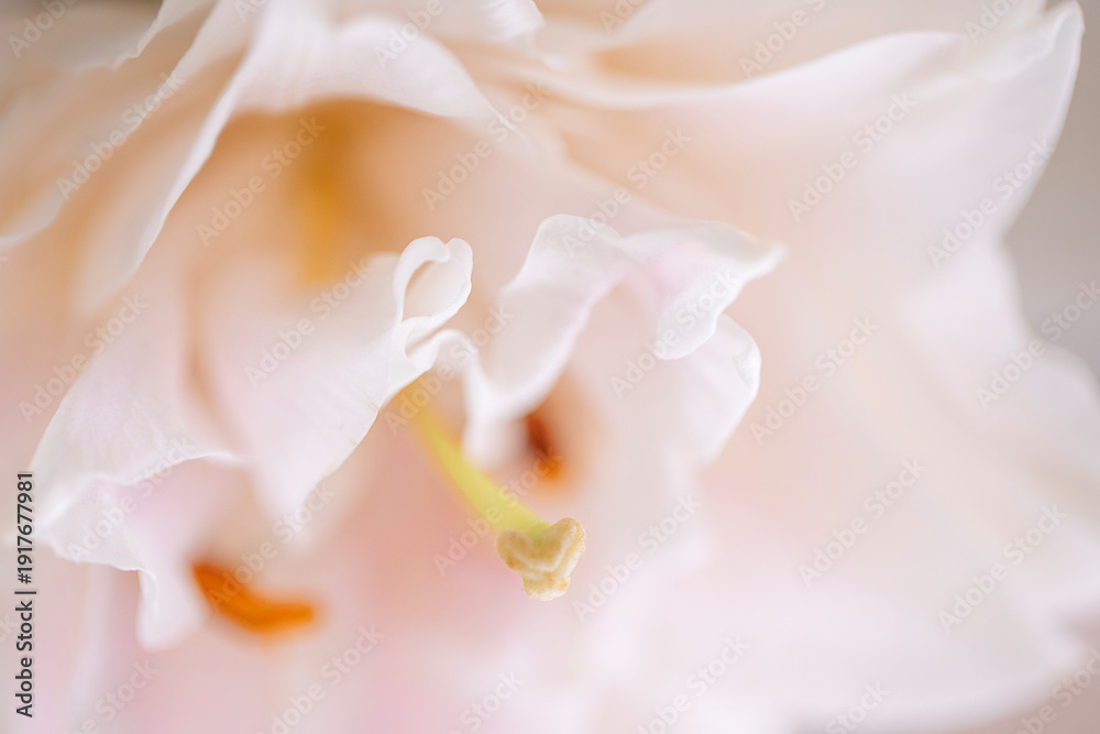 Obraz premium Close-up of delicate pink flower petals with soft textures and subtle color variations, showcasing intricate details and natural beauty in a blurred background
