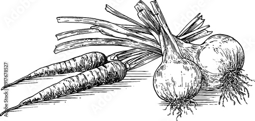 Vintage vegetable sketch featuring carrot, leek, and celery root for retro design