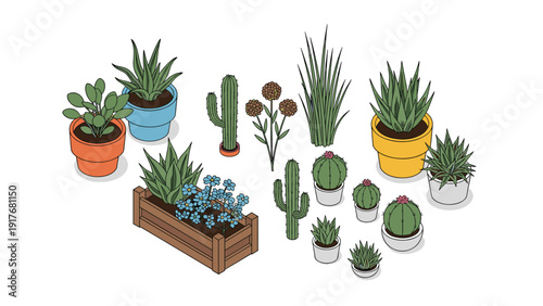 Collection of small succulent plants and cacti in various pots adds a charming touch to a desk or windowsill.