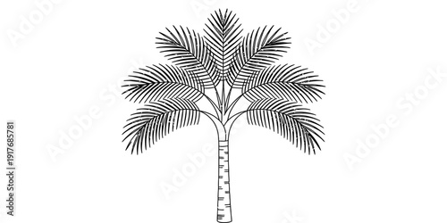 Hand-drawn illustration of a branched doum palm tree with fan-shaped fronds on white background