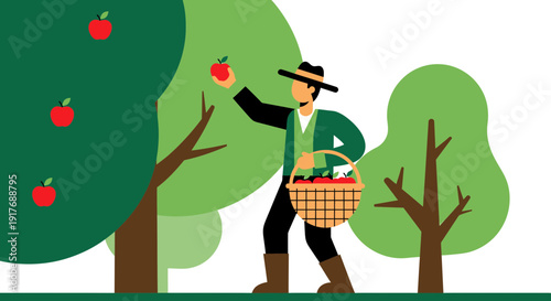 Farmer Picking Apples from Tree with Basket - Autumn Harvest Illustration
