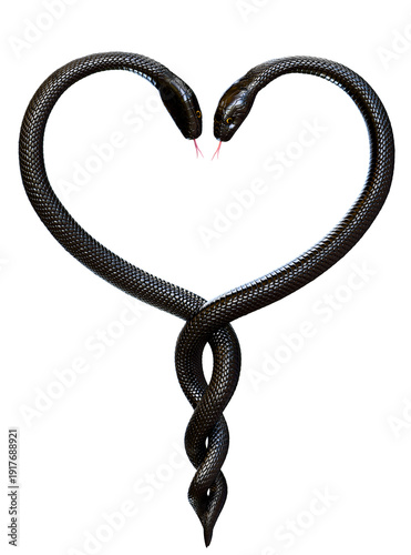 Two Black Snakes twisted in a Heart shape isolated on White Background. 3D illustration