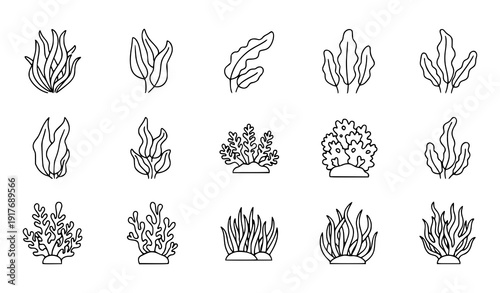 Underwater seaweed line icon set vector marine algae reef plants isolated on transparent background