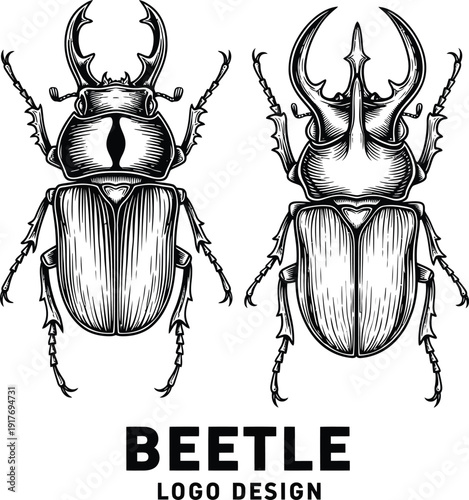 Beetle Insect Logo Vintage Engraving