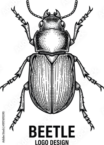 Beetle Insect Logo Design Illustration