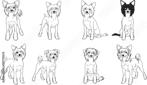Set of Chinese Crested dog vector illustrations, cute hairless pet line art sketches collection, black and white animal outline isolated on white background.