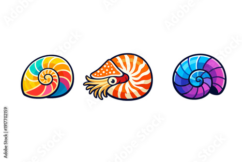 Three stylized illustrations of nautilus shells are displayed against a solid black background. Each shell features vibrant colors and bold outlines in a modern graphic design style.
