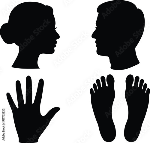 Silhouette illustration of human anatomy, head profile, hand and feet design, educational vector artwork, artistic black figure, identification concept