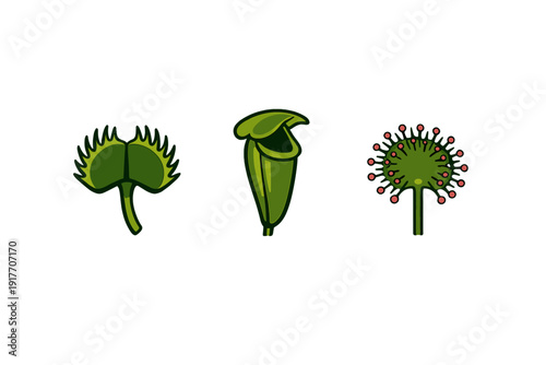 Three stylized green illustrations of carnivorous plants including a Venus flytrap, a pitcher plant, and a sundew are displayed against a solid black background in a flat vector style.