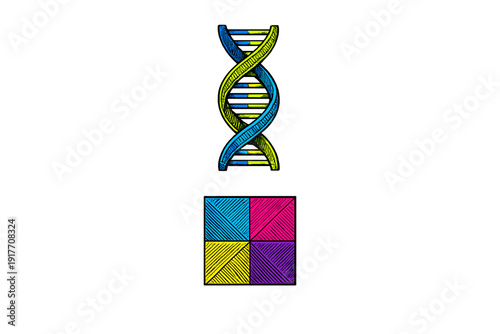 This hand-drawn graphic displays a blue and green DNA double helix above a square composed of four colorful quadrants with diagonal hatching, all set against a black backdrop.