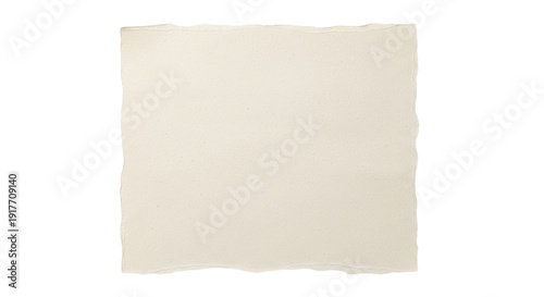 Isolated torn paper sheet with deckle edges for art projects, scrapbooking and collage