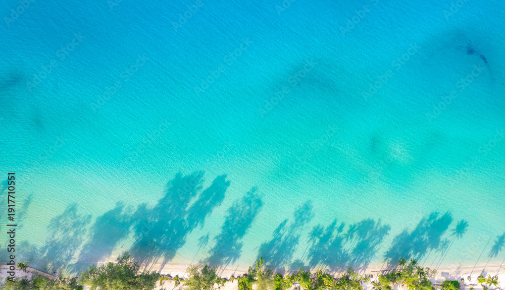 Fototapeta premium Aerial top view of turquoise sea water and white sand beach with beautiful coconut palm tree shadows. Tropical summer vacation and luxury travel .beach sand background for summer vacation concept