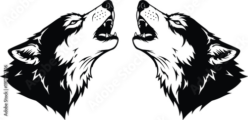 Black and white of two wolf heads howling wolves animal