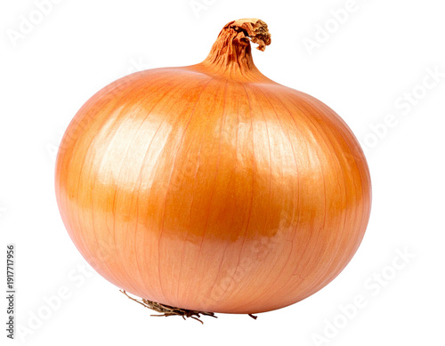 Wallpaper Mural Fresh onion bulb isolated on transparent white background Torontodigital.ca