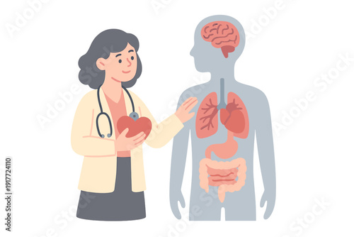 A female doctor in a white coat with a stethoscope holds a heart next to a human body diagram showing internal organs like the brain, lungs, stomach, and intestines.