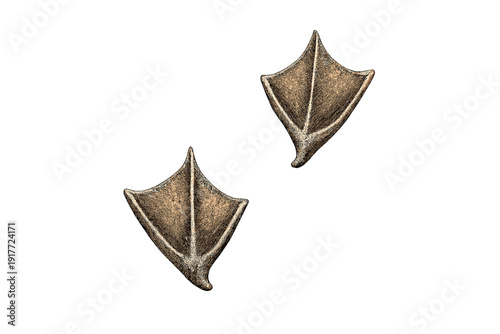 Two bronze-colored webbed bird footprints are shown against a solid black background. The tracks feature a textured metallic finish and represent the gait of a duck or goose.