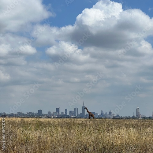 Giraffe walking in Nairobi NP