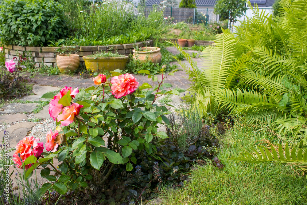 custom made wallpaper toronto digitalrustic garden - roses, fern and plants in tin tub