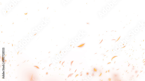 Obraz na płótnie Fire Embers Border with Floating Sparks, Transparent PNG Overlay