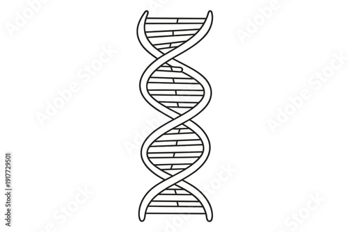 This minimalist black and white illustration depicts a DNA double helix structure. The simple line art represents genetics, biology, and the fundamental building blocks of life.